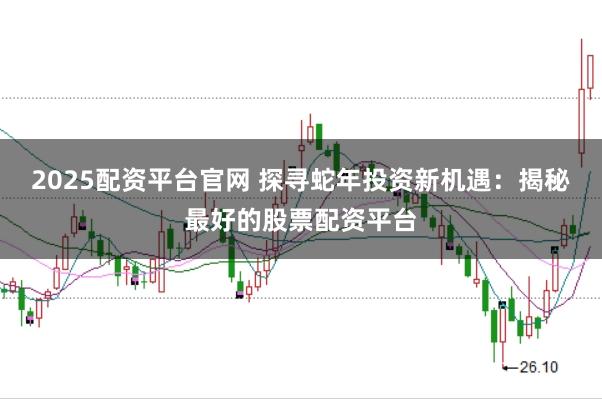 2025配资平台官网 探寻蛇年投资新机遇：揭秘最好的股票配资平台