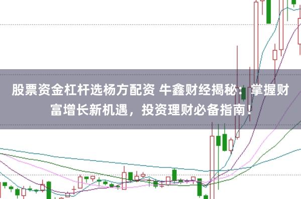 股票资金杠杆选杨方配资 牛鑫财经揭秘：掌握财富增长新机遇，投资理财必备指南！