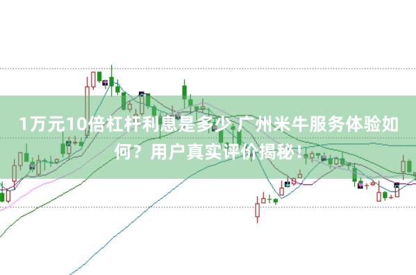 1万元10倍杠杆利息是多少 广州米牛服务体验如何？用户真实评价揭秘！