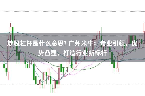 炒股杠杆是什么意思? 广州米牛：专业引领，优势凸显，打造行业新标杆