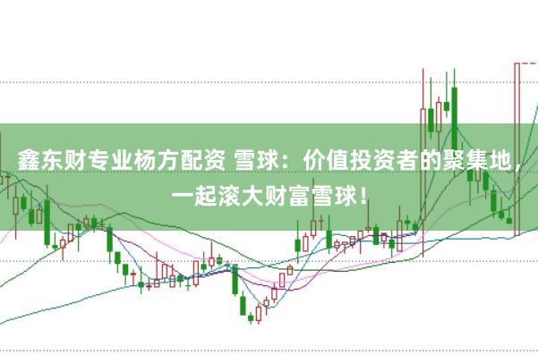 鑫东财专业杨方配资 雪球：价值投资者的聚集地，一起滚大财富雪球！