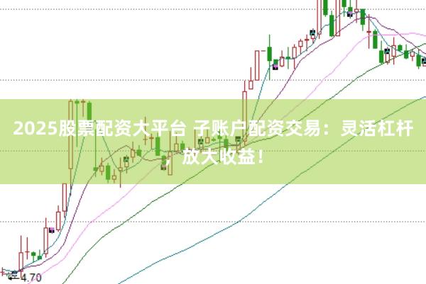 2025股票配资大平台 子账户配资交易:灵活杠杆,放大收益!