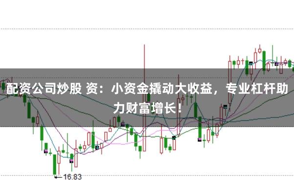 配资公司炒股 资：小资金撬动大收益，专业杠杆助力财富增长！