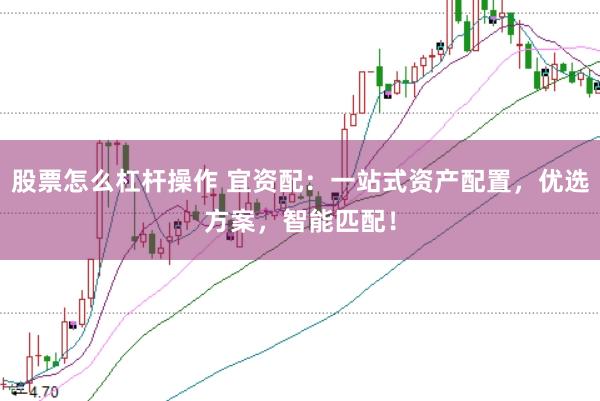 股票怎么杠杆操作 宜资配:一站式资产配置,优选方案,智能匹配!
