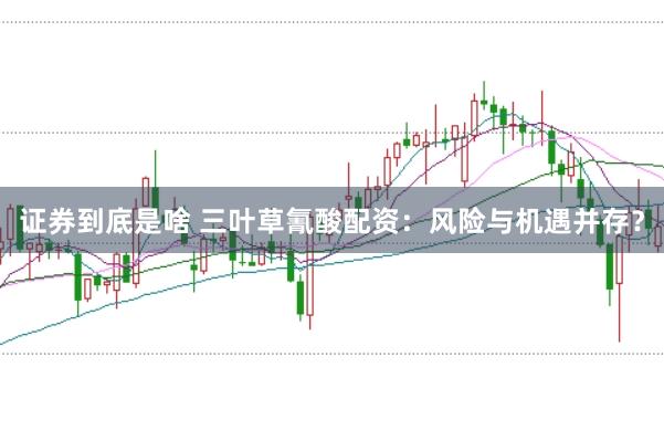 证券到底是啥 三叶草氰酸配资:风险与机遇并存?
