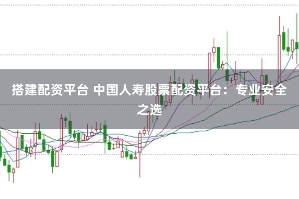 搭建配资平台 中国人寿股票配资平台：专业安全之选