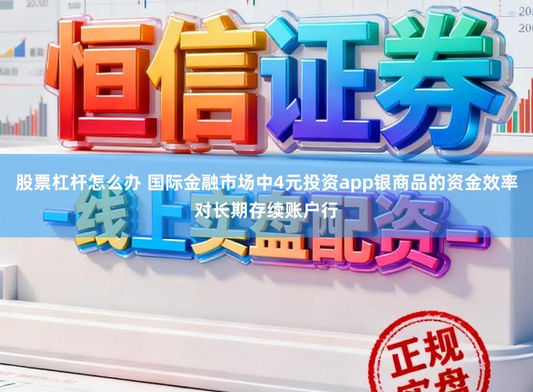 股票杠杆怎么办 国际金融市场中4元投资app银商品的资金效率对长期存续账户行
