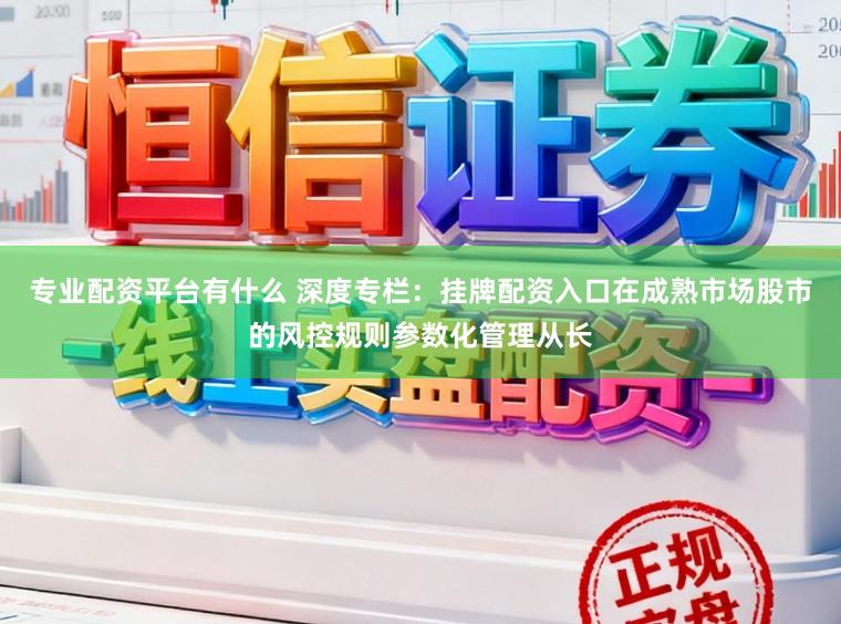 专业配资平台有什么 深度专栏：挂牌配资入口在成熟市场股市的风控规则参数化管理从长