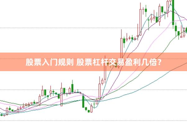 股票入门规则 股票杠杆交易盈利几倍？